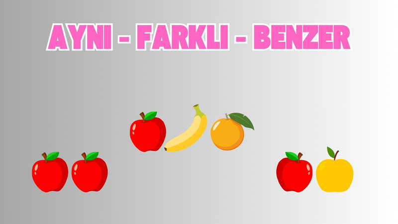 Aynı - Farklı - Benzer
